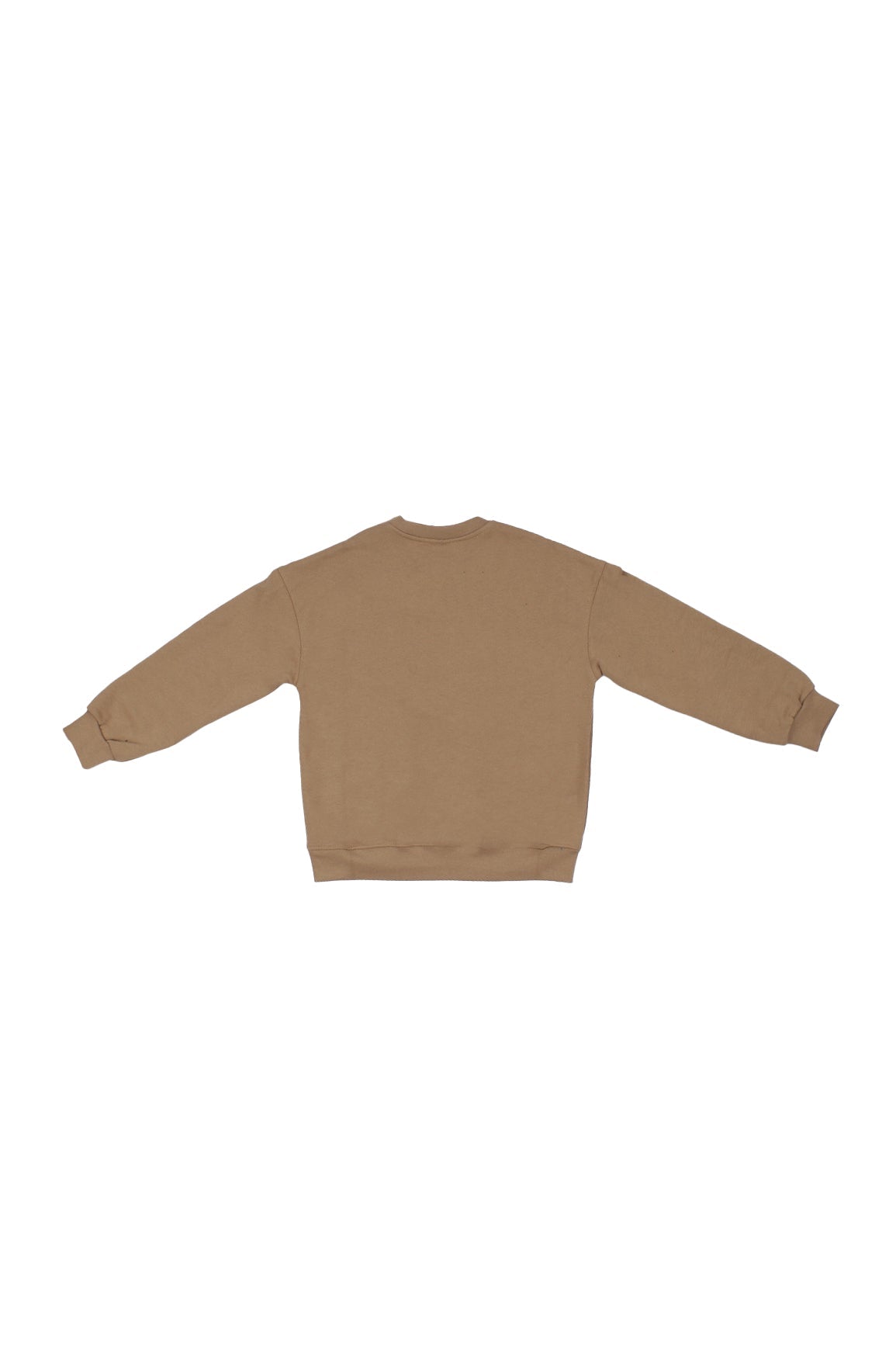 DISCLAIMER Bambino Felpa 25IDK58651 BROWN : maglia bimbo over in felpa Brown