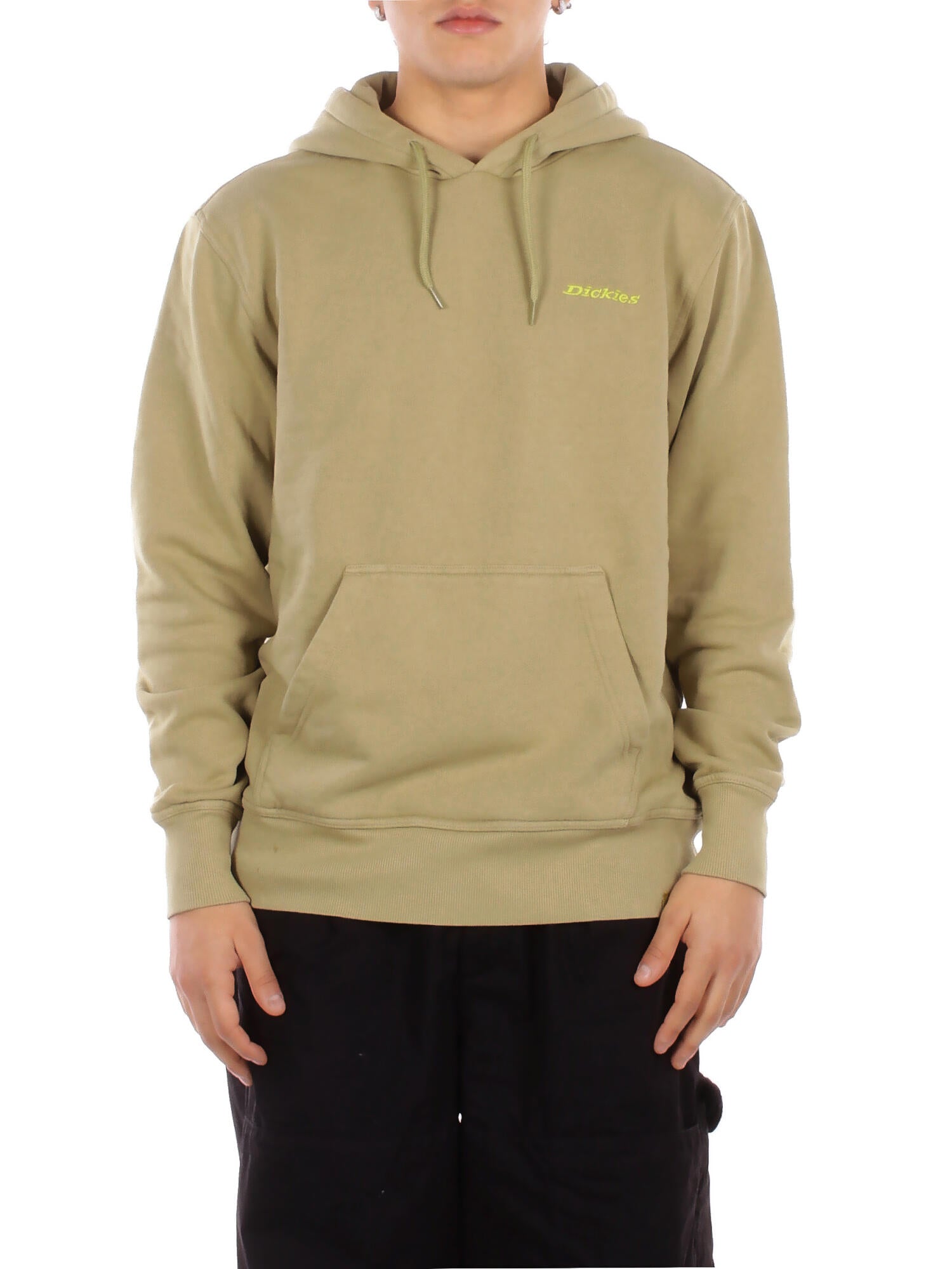 DICKIES Uomo Felpa DK0A866D L201 Plentywood hoodie Green