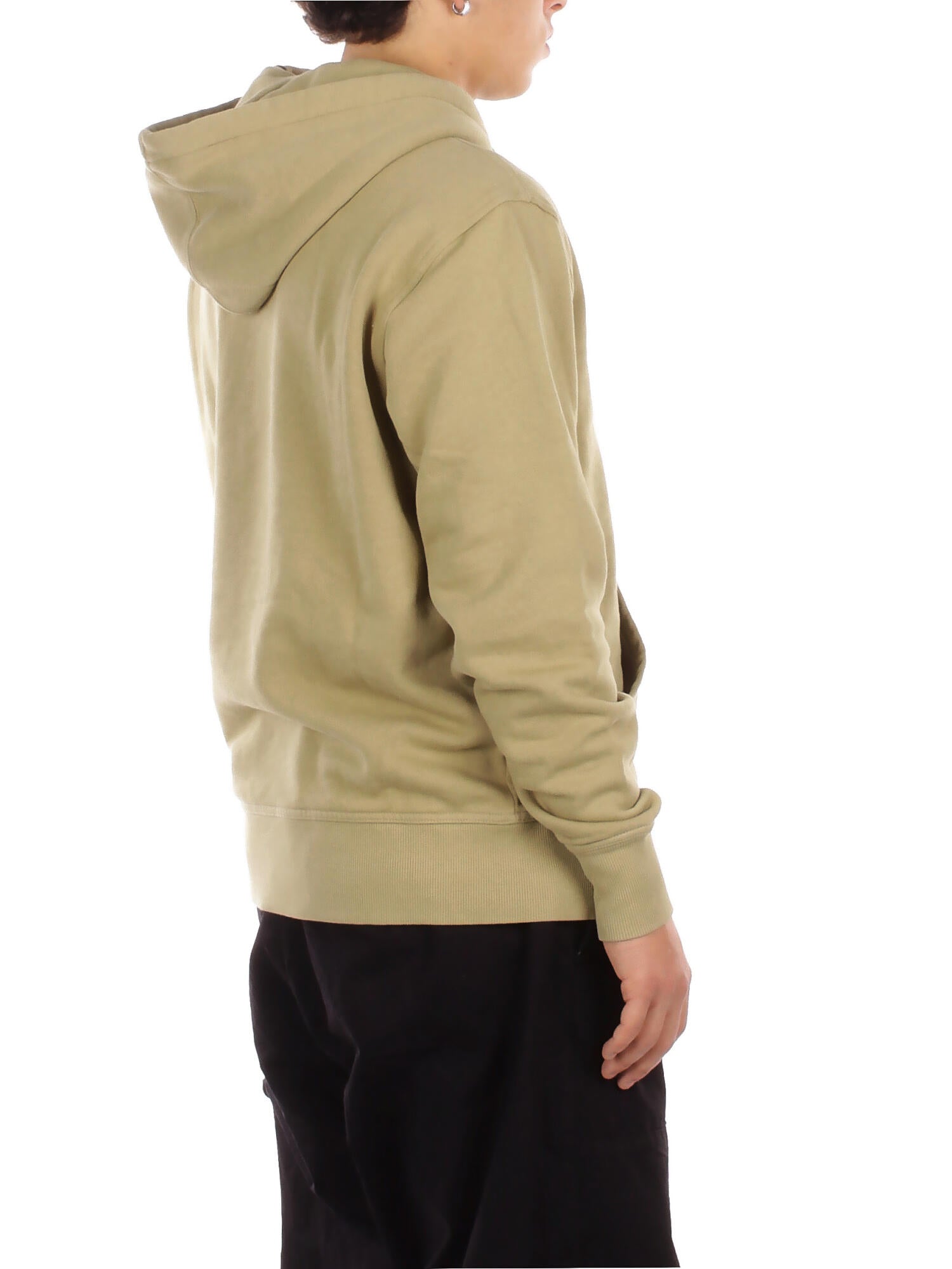 DICKIES Uomo Felpa DK0A866D L201 Plentywood hoodie Green
