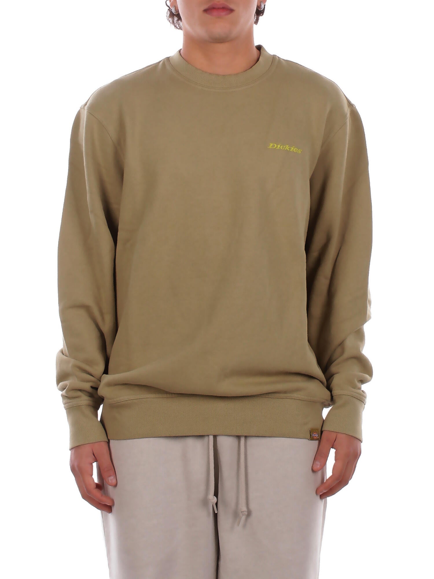DICKIES Uomo Felpa DK0A864H L201 Plentywood sweatshirt Green