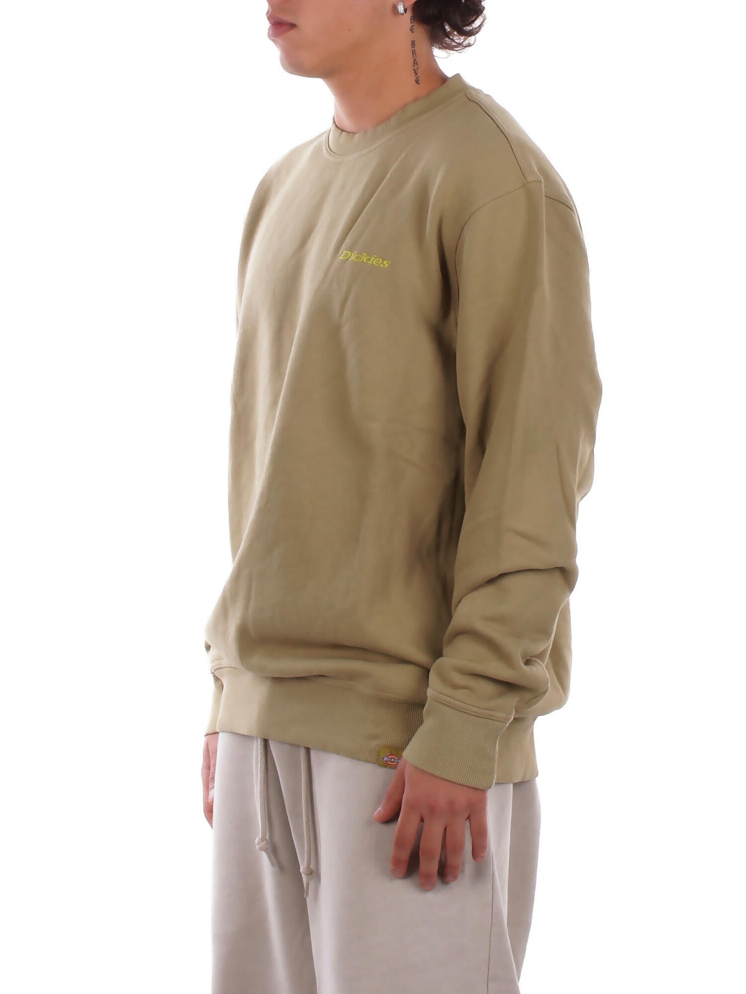 DICKIES Uomo Felpa DK0A864H L201 Plentywood sweatshirt Green