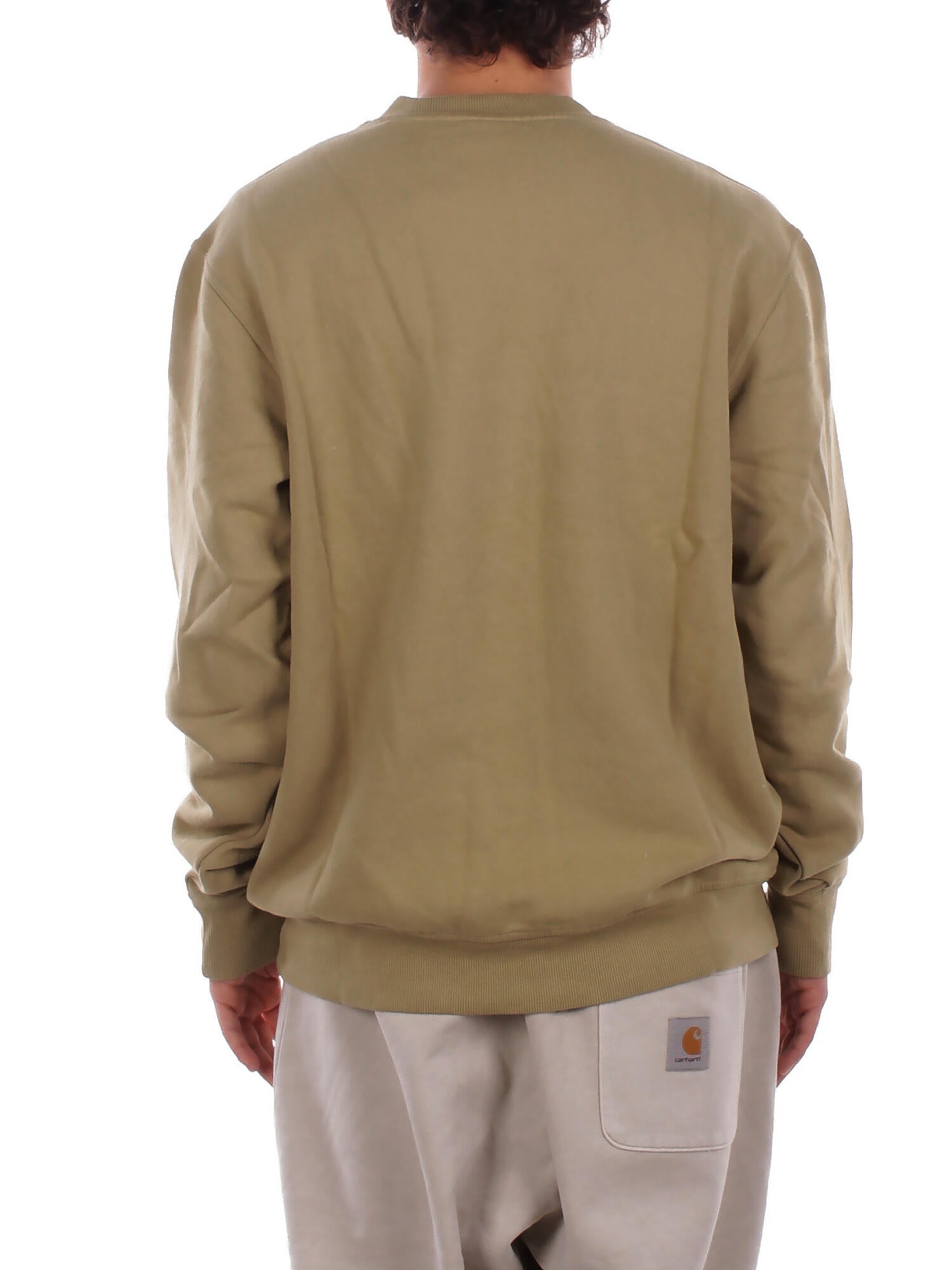 DICKIES Uomo Felpa DK0A864H L201 Plentywood sweatshirt Green