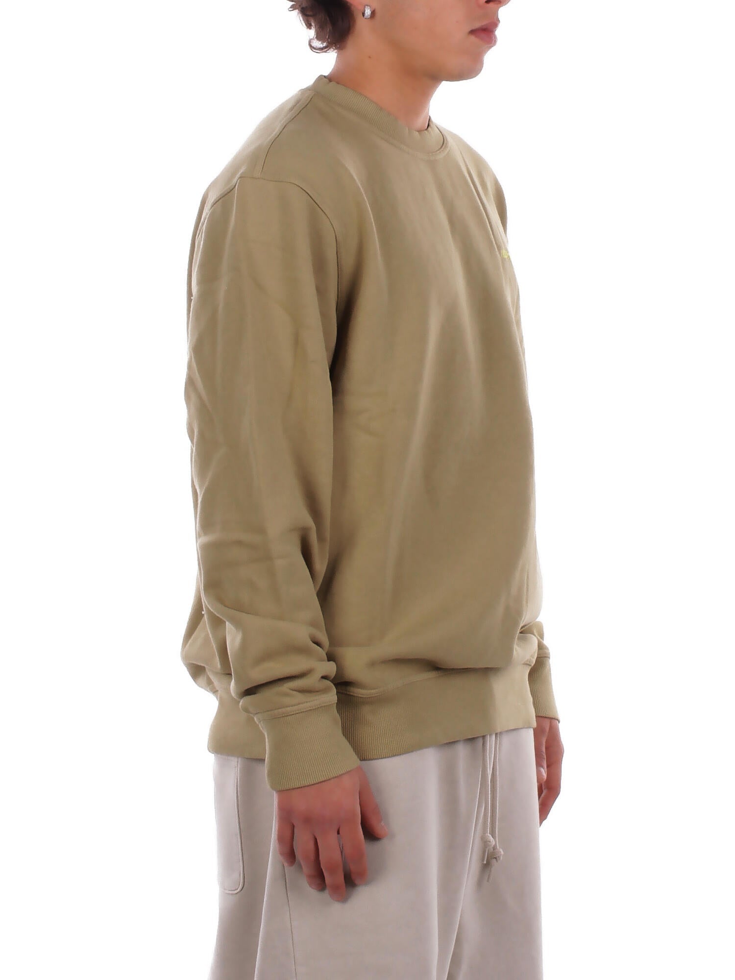DICKIES Uomo Felpa DK0A864H L201 Plentywood sweatshirt Green