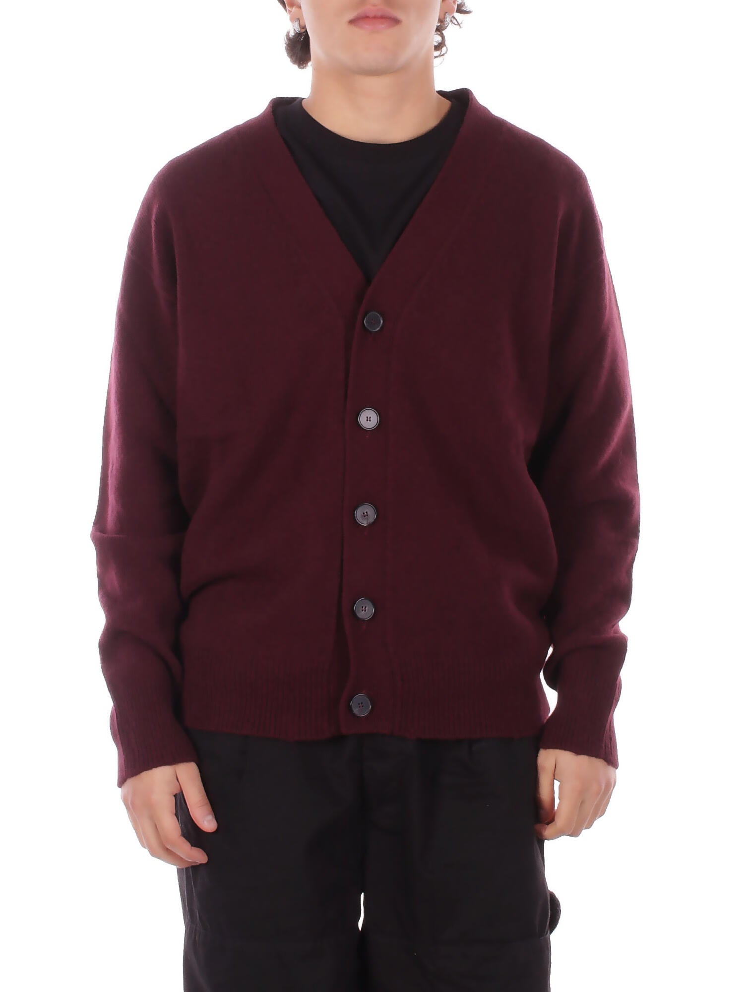 AMARANTO Uomo Maglia B9F0116 FU39 Knitwear Melanzana