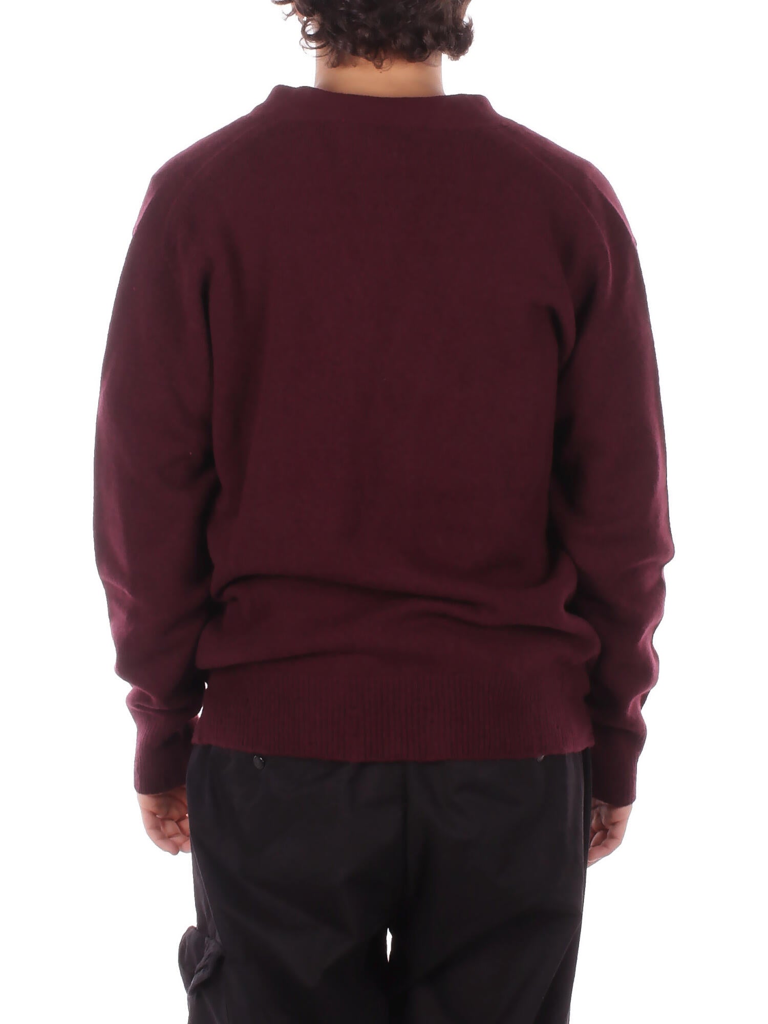 AMARANTO Uomo Maglia B9F0116 FU39 Knitwear Melanzana