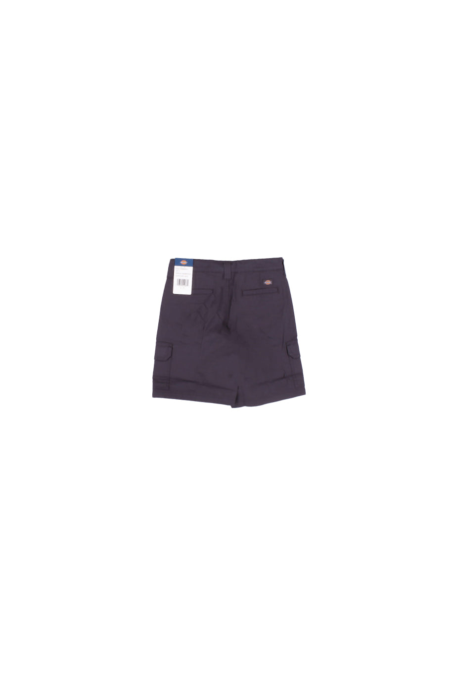 DICKIES Bambino Pantaloncino DK0A862Z 0CH1 Kids ripstop cargo short charc Grigio