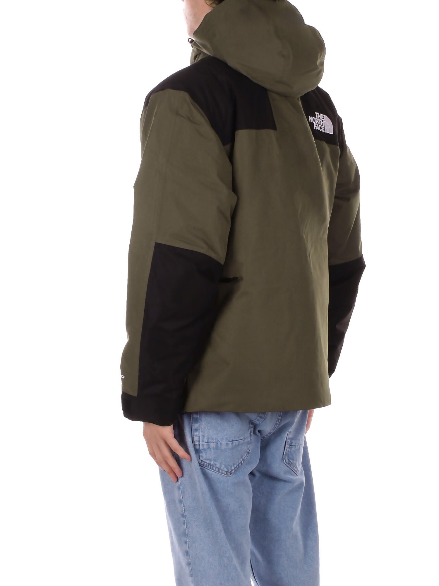 Image of THE NORTH FACE Uomo Giubbotto NF0A8D1V BQW1 M mountain down jacket Green