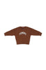 felpa-bambino-tommy-hilfiger-nocciola-varsity-raised-print-1