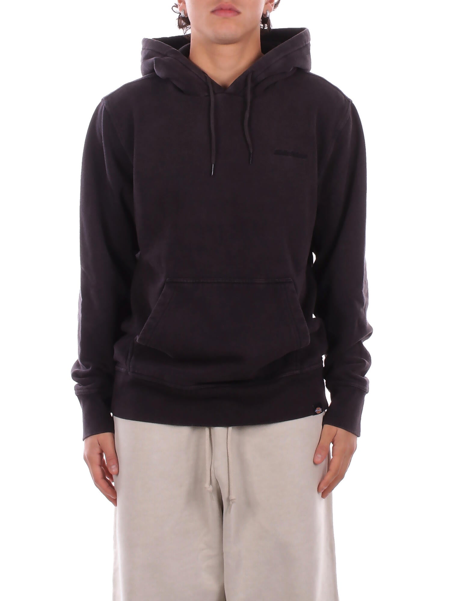 Image of DICKIES Uomo Felpa DK0A866D BLK1 Plentywood hoodie Black