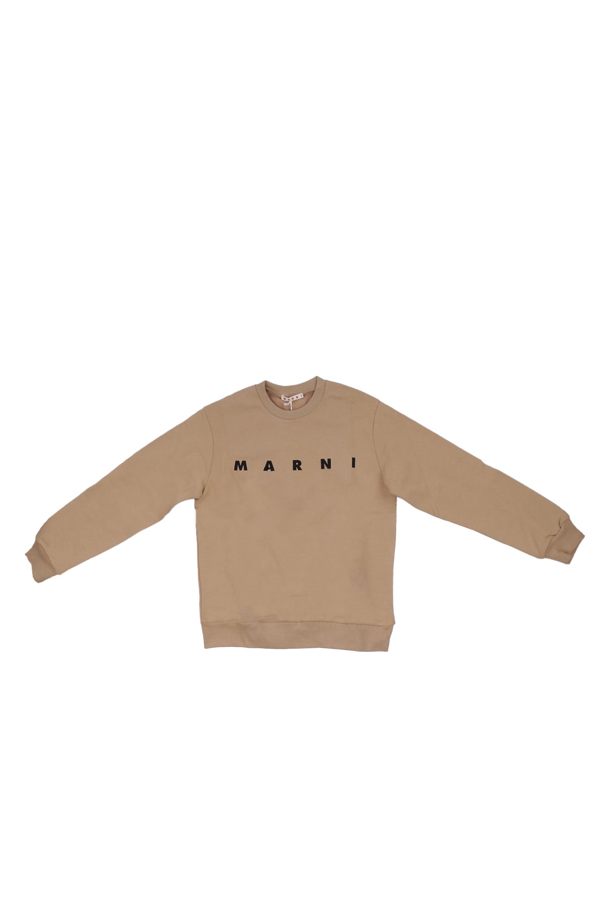 Max 1980