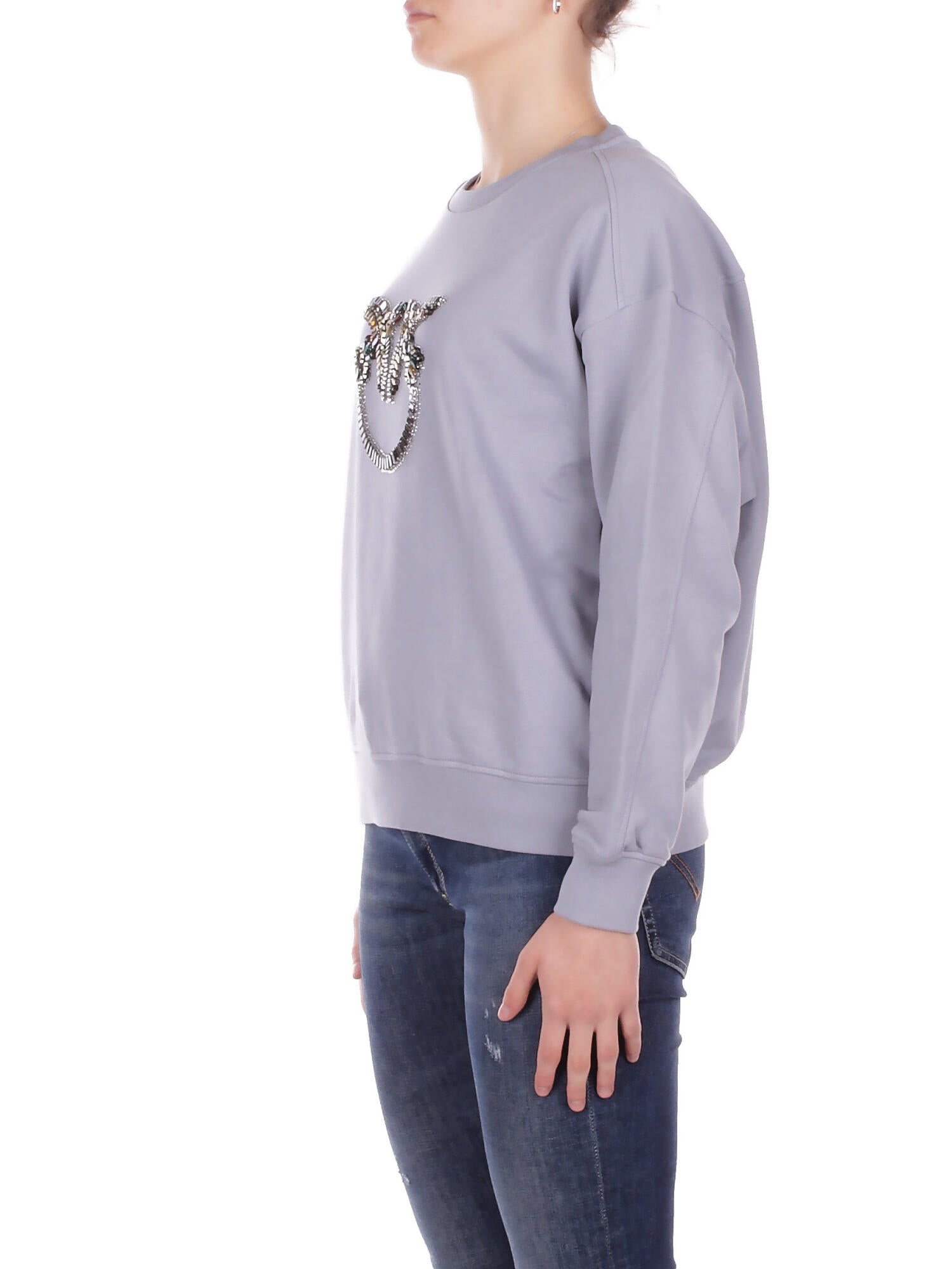 PINKO Donna Felpa 100534A33G E87 Nelly maglia felpa ricamo Polvere