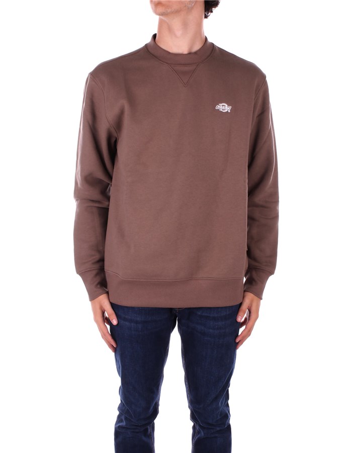 DICKIES  Sweatshirt DK0A4Y6Q 