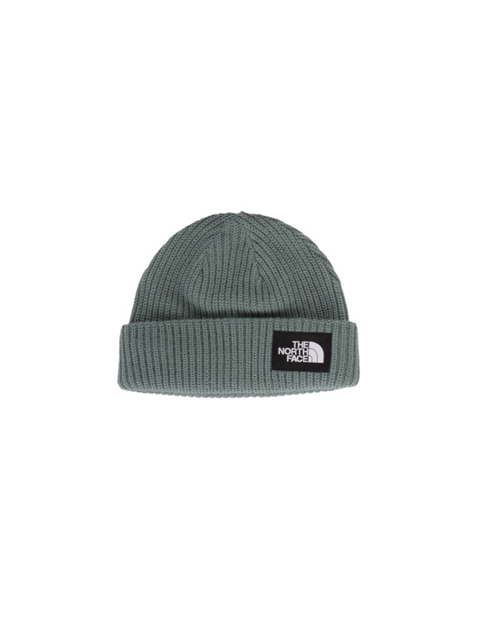 THE NORTH FACE Cappelli Beanie NF0A3FJW Dark sage