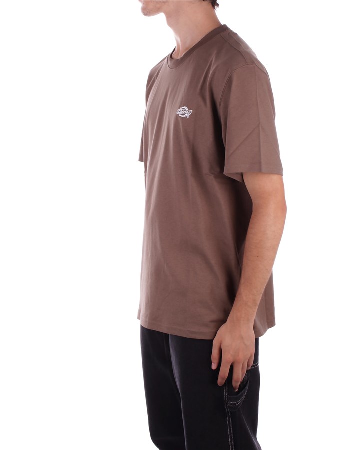 DICKIES Manica Corta Brown