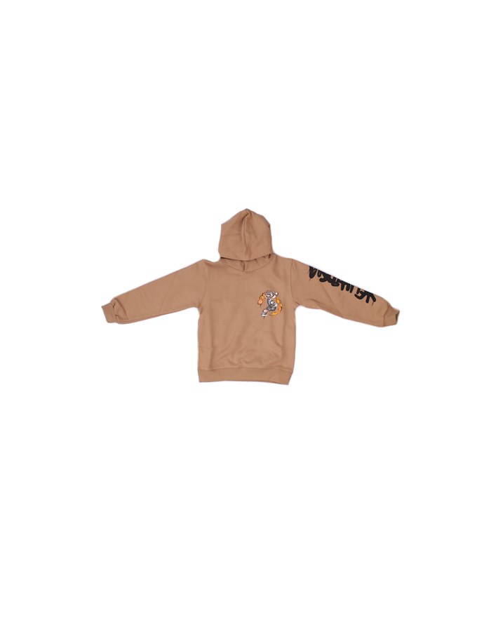 DISCLAIMER Hoodies Brown