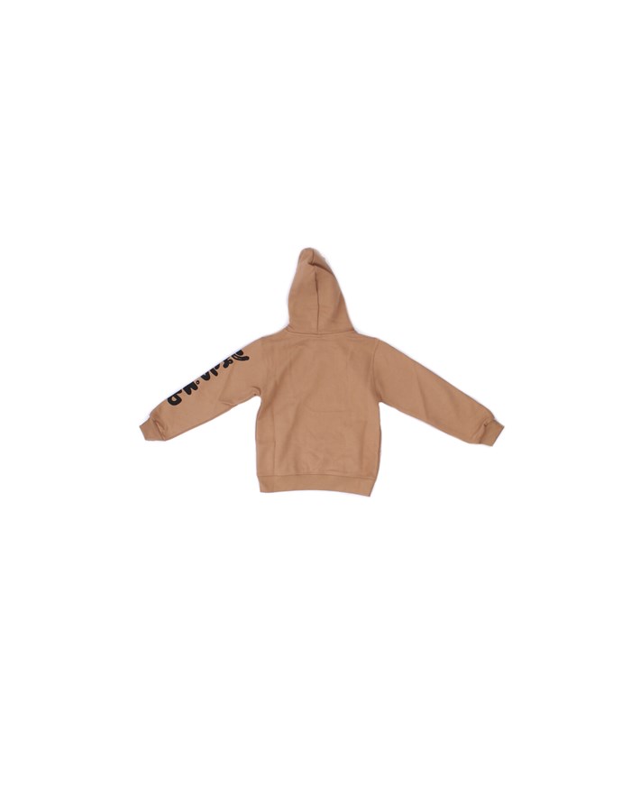 DISCLAIMER Hoodies Brown