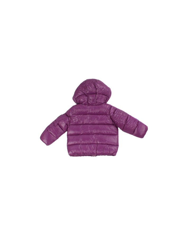 SAVE THE DUCK Giacconi Violet