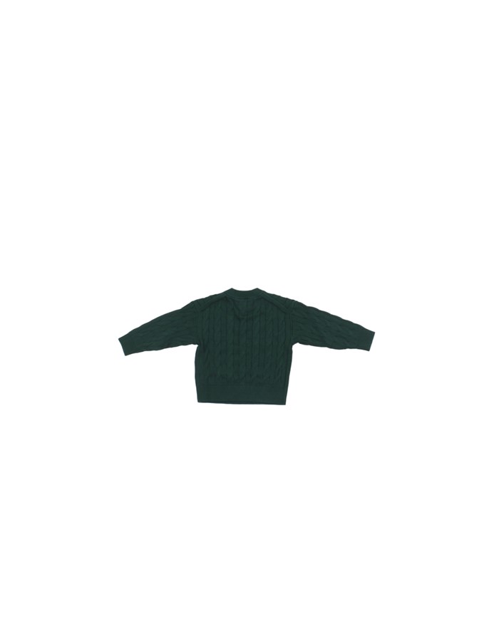 TOMMY HILFIGER Maglie Girocollo Green