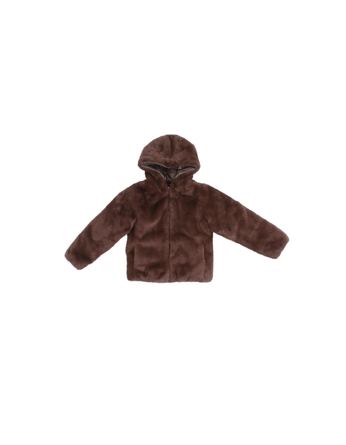 SAVE THE DUCK Giacconi Brown